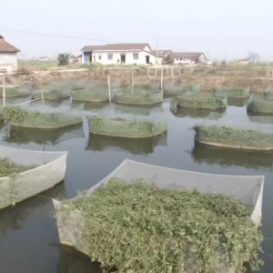 �r��͡��u�~�y���S�Xͬ��ȥ���5Ԫ/��Bֳ���B�ö�̝�ÑK��