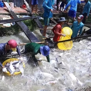 Խ�ϼӾo���ְ�ɳ�~�a�I�������~�״�ͻ��20�|��Ԫ