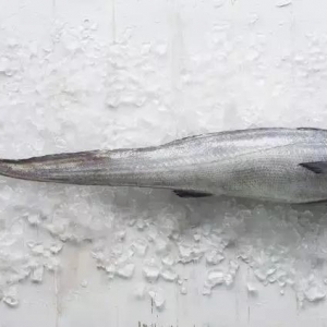 Sealord���������m��󲶓ƴ�Tokatu��ˮ�������Ї����������ƏV�Lβ�L