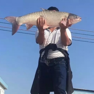 ������ͨ�������r(n��ng)�����A�l�����Ƚ��r��