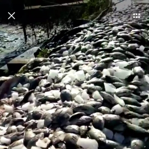 ����(qi��ng)����+�Ϻ��_�L(f��ng)��ײ�u�����V�|���V����������Ҫ��ѩ���A��ˮ�a(ch��n)�B(y��ng)ֳ���R����������� ...