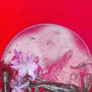 С���r�����ل��¸ߣ�����u��58Ԫ/�����2018��12��25��С���r���^�r��