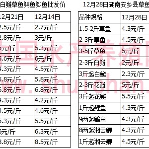 �����i���ȶ������ƄӏV�|���~�r��ȫ���ϝq