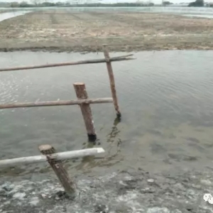 ��з������Ҫע���@���c