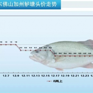 ����ӭ���У��V�|���������Ĵ������|�؝q���1.2Ԫ/�12�����������r���t