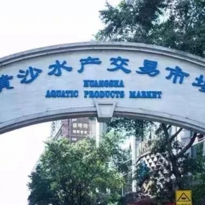 �������V��6��ˮ�a���l�Ј������w��