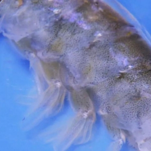 ��Ԕ���r͑���^��ȫ����������Ҫ��һ�h�������ҕ����