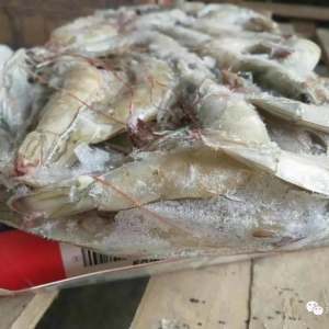 ���X�]؛�����r�B�q������ǰ�����������Ј�����uһ�c��һ�c����؛���ŵ�