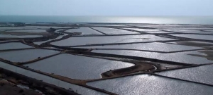 δ��5�꺣�󼯈F����ȫ�a�I�Ͷ�Y����40�|Ԫ