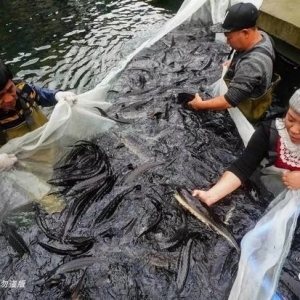 �\�~�B(y��ng)ֳ�������_(d��)10Ԫ/�2��ٍ250���f��