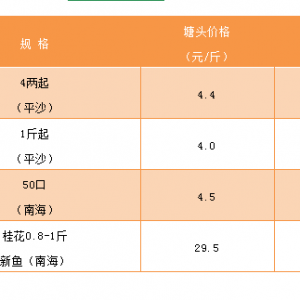 2019��1��11���a�~���_���~�����N�����~���^�r��