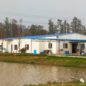 �~��߅��ĺ��װ巿���`����4�պ󣬏�(qi��ng)��