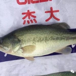 �Ĵ��~�r�I��ȫ������r���������ͨ�̸��V���~��