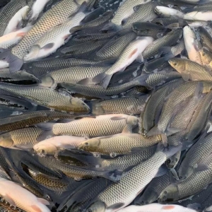 ���~��ͱ�����3.5Ԫ/�2018����~֮��������ԭ����...