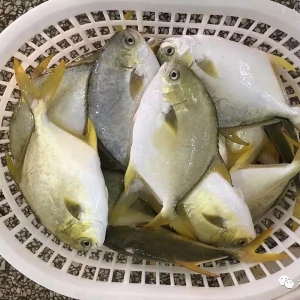 2018����K�~��߳ɹ����_90%����߃r�_15.5Ԫ��