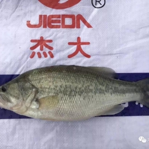 ���~���࣬����~�r���Ӵ�| �ܴ�����ؼs�����|һ���������