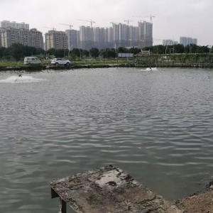 40��40�^����߮��a(ch��n)2000������ǰ˴��B(y��ng)�r����Փ�����ƾ��B(y��ng)�r�y