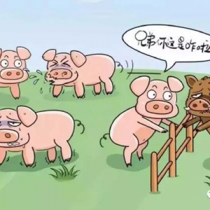 �i���ڷ����΄�������횽�����ȫ���ﰲȫ�wϵ