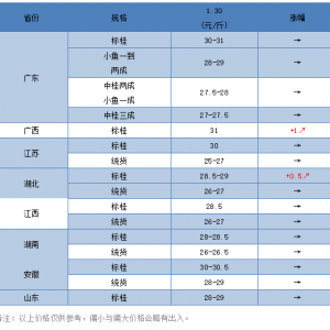 �R����׸����Z�~(y��)�r(ji��)��(w��n)������