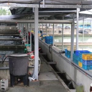 �������L̽���_�������|�緱���^�̵Ī���֮̎