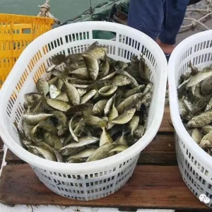 �{(l��n)���~(y��)�ɻ��ʲ�~(y��)�r(ji��)�ͣ��s���B(y��ng)ֳ��(h��)ٍ��80���f(w��n)Ԫ