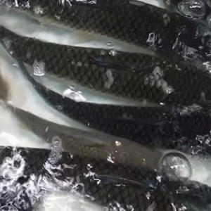 �K��2018���~(y��)�r(ji��)���ԣ��������F(xi��n)��(sh��)ʮ��δҊ(ji��n)�̓r(ji��)��