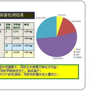 EMS��̩���B�r�I��Ӱ���΢