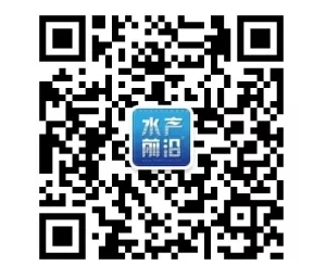 99Ԫ��t�������㣡�O���ô����һ���f���t��