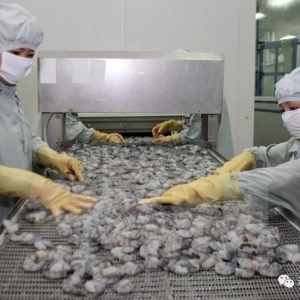 ��߅�Q(m��o)��ɫͨ���վoӰ���2018Խ�ϰ��r��(du��)�Ї�(gu��)�Ј�(ch��ng)�����~�½�