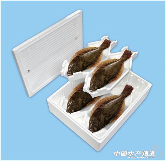 �]��һ�l�~���@�N���oˮ�\(y��n)�~�����g(sh��)�к�����֮̎����