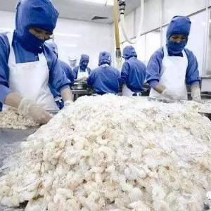 ӡ�Ȱ��r�������Ї��Ј��ăr�����