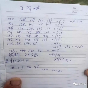 ÿ����ϳ��~(y��)47����ϵ��(sh��)�H��0.85���܏�(f��)�Ƶ��B(y��ng)�|�ɹ�֮����