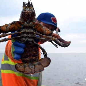 �����r��һ�������r�ģ����r�Ă�(g��)��λ�ڸ���ã��@���д�