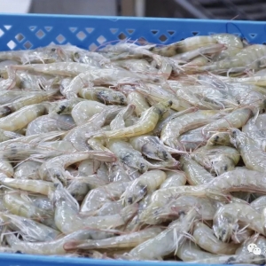 �M(j��n)�����^�m(x��)�q���Ї�(gu��)�ѳɶ�϶ࠖ���r��(sh��)�H����M(j��n)�ڇ�(gu��)