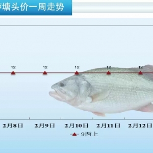 Ԫ�����ػ�ӭ���~С�߷�|һ�ܼ����|���麆��