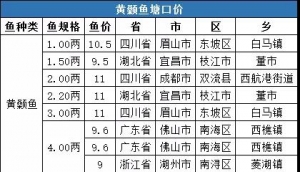 ȫ��(gu��)���ֵ؅^(q��)�S��~(y��)һ�����ڃr(ji��)���²���(b��o)