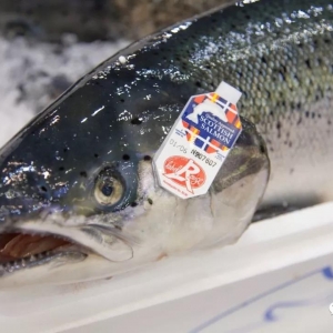 2018���Ї�����Ј����۳��K���m�����~9722��