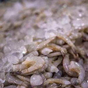 �Ї���(y��n)����˽��Խ�ό��A�r����J�p����ϣ���ښW��-Խ�����Q(m��o)�f(xi��)����Ч