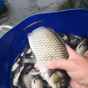 �uһ���a�~Ҫ̝1000Ԫ���a�~һ�������r