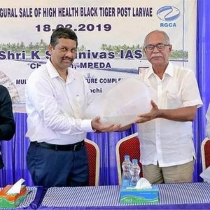 ���r���΁����Ј����ϼ����ڻ��r�Bֳ�s�B���ܴ�