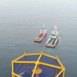 �ٽ������{2̖�������{1̖�����������������q�Ȍ����ϲ���