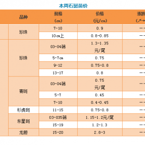 ȫ��ʯ���~�r�񲥈� | ʯ���~�r�^�m�»����@�l���t���ӡ��sһ·�߸�