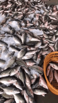 ʹ�ģ�혵�һ�����|���������~(y��)���_(k��i)���D(zhu��n)��Ҫע���@Щ��(w��n)�}