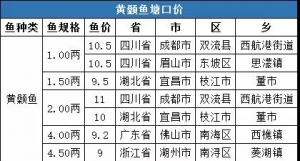 2019��2��23���S��~(y��)���^����(b��o)�r(ji��)