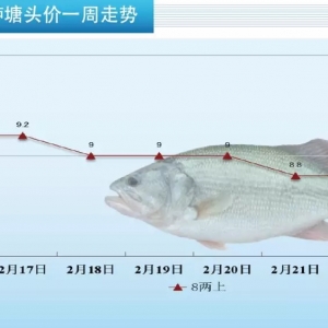 ��ʡ�����|�»����1.5Ԫ/����r�Εr�ݣ�