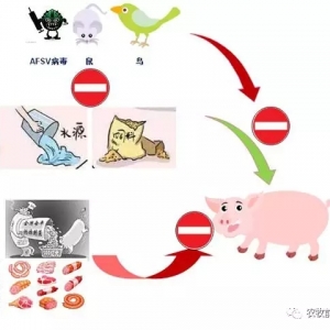 ���Ă����濴����������r���i�������ﰲȫ��ʩ