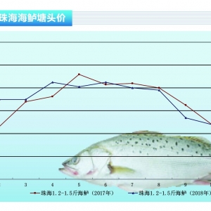 ���|�����~�r(ji��)��؜أ��~�繩��(y��ng)�o���r(ji��)������������ˮ�a(ch��n)ǰ�ء�2019��2�¿��Ј�څ��