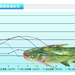 �S��~���V�|���Ĵ���ʡС������������ˮ�aǰ�ء�2019��2�¿��Ј�څ��