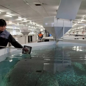 2��26�ձ��r�����~����r