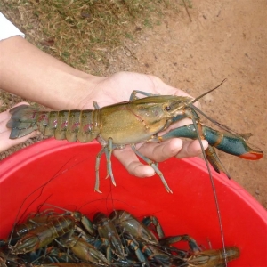 2019����޵�ˮ���rֵ���Pע��Ͷ�Y�Bֳ�᣿